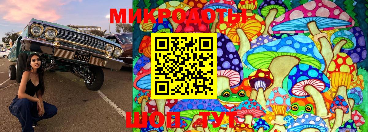 Галлюциногенные грибы Psilocybe Омск